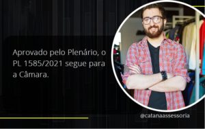 Aprovado Pleno Plenario O Pl 15852021 Segue Para A Camara Catana Empresarial - Contabilidade em São Paulo | Catana Assessoria Empresarial